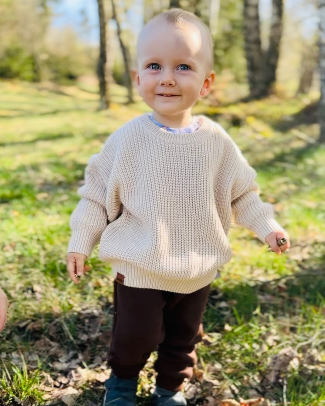 Svetr "Must Have Hipster" Smetana