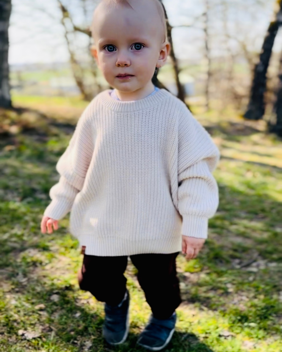 Svetr "Must Have Hipster" Smetana