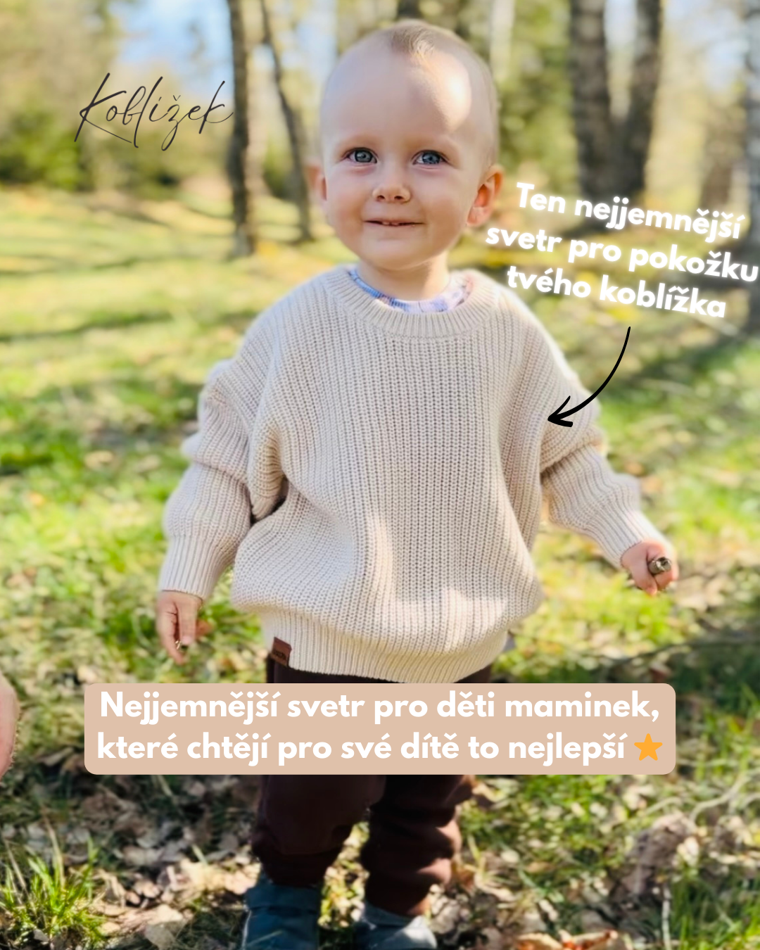 Svetr "Must Have Hipster" Smetana